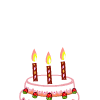 送给你的生日蜡烛