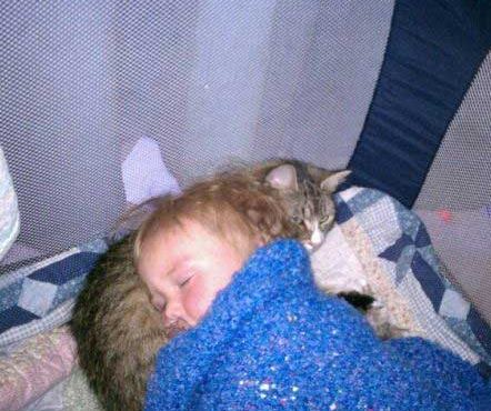 把猫猫肚子当枕头的小孩