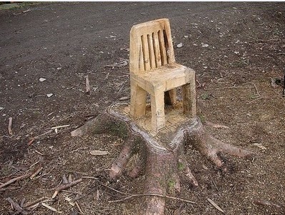 用树干做一把搬不动的椅子
